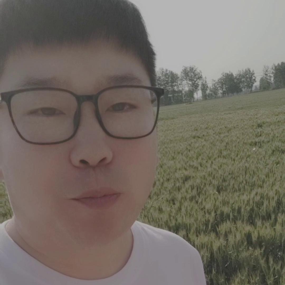 100元一袋的玉米,玉米专用肥能不能掉价