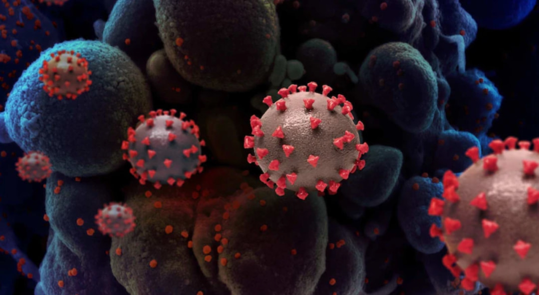 澳大利亚首例新冠病人,首例新型冠状病毒感染者