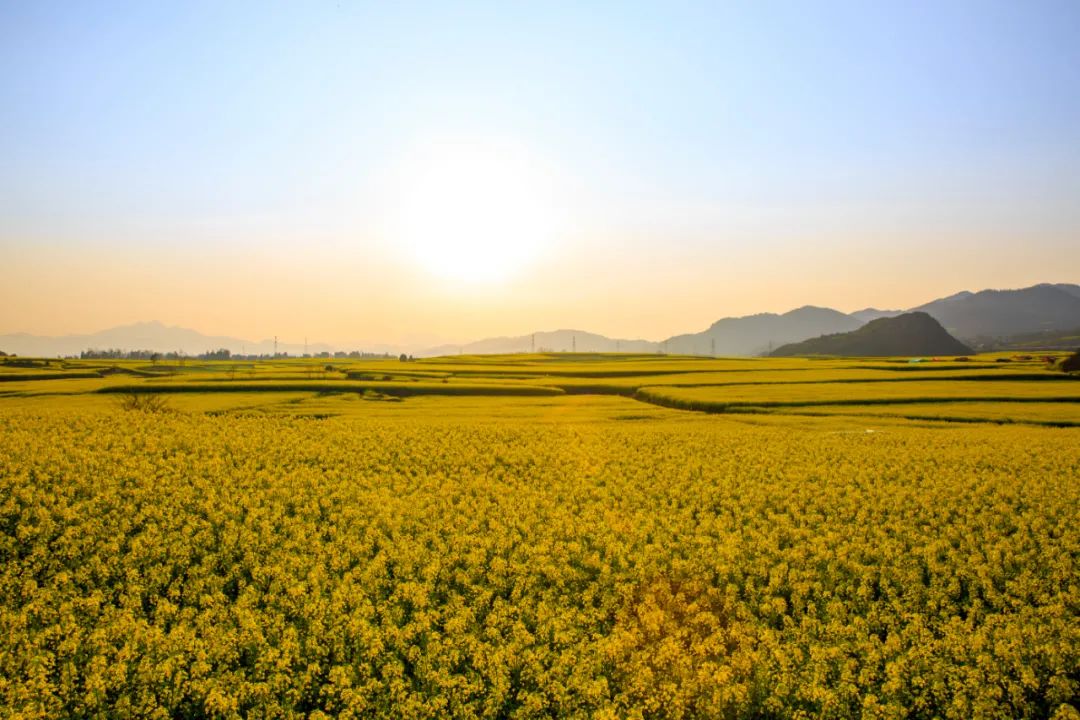 云南西双版纳跨省游最新通知,云南跨省游最新通知