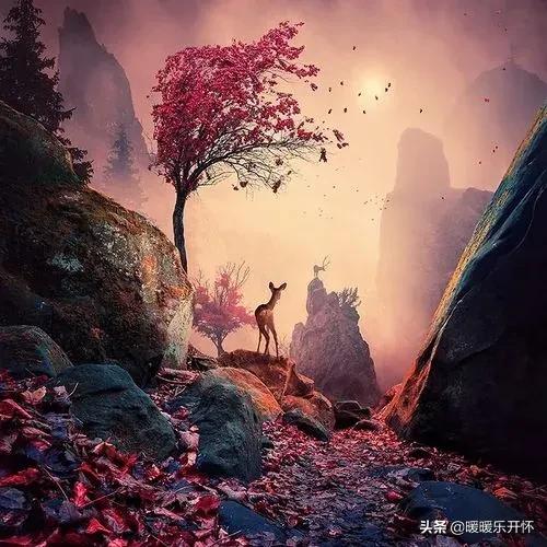 高级干净又撩人文案短句霸气,撩人的幽默高情商的句子文案