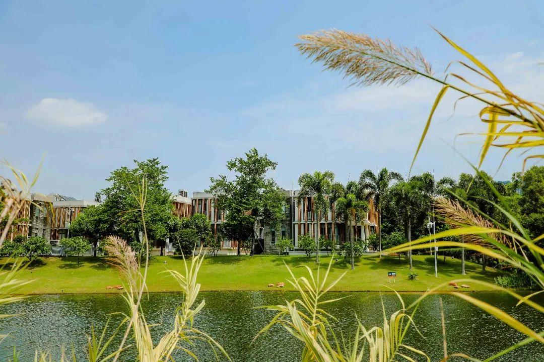 南方科技大学值得报名吗,南方科技大学到底值不值