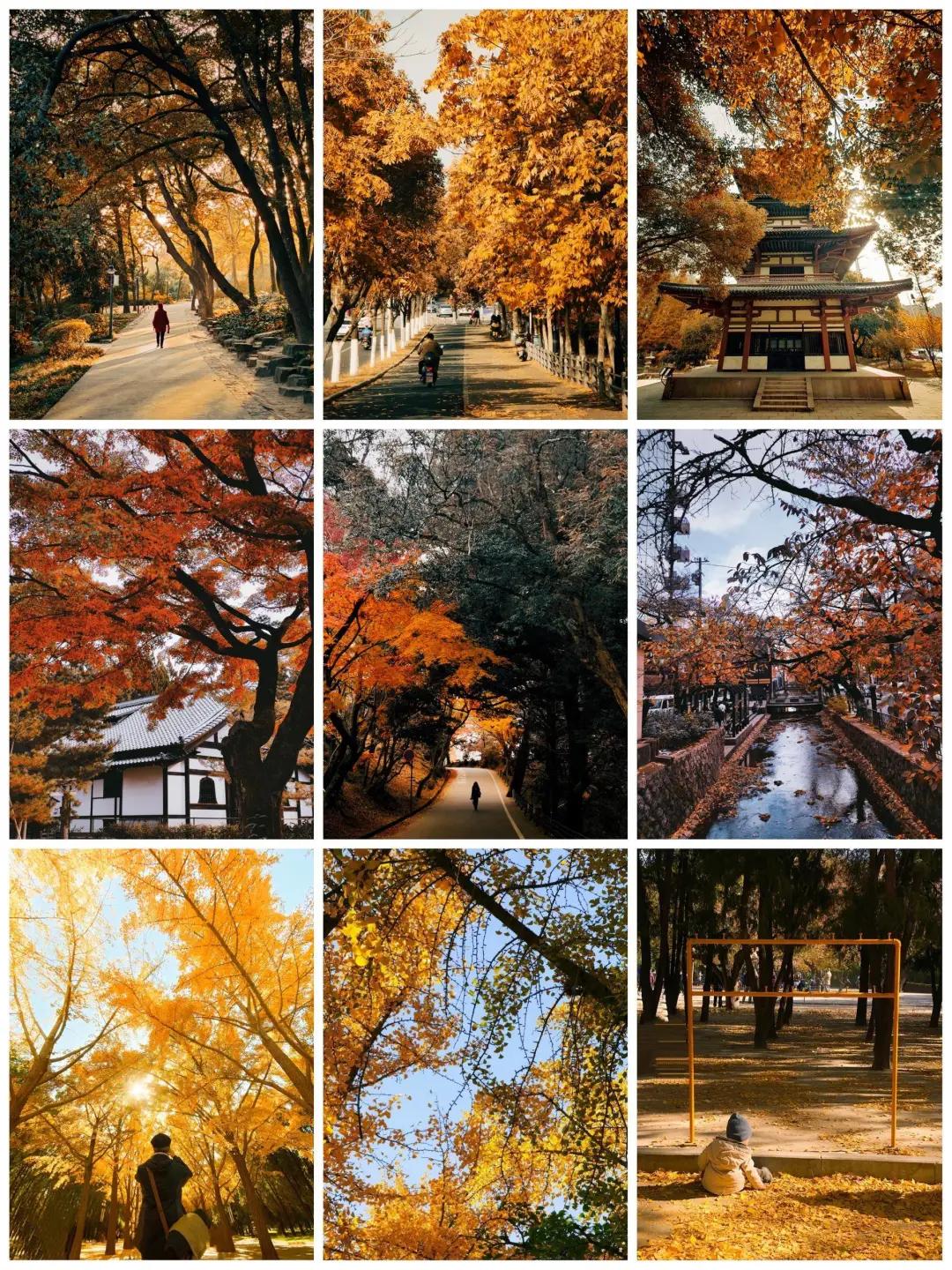 朋友圈拍图技巧,怎么拍好看的图片发朋友圈