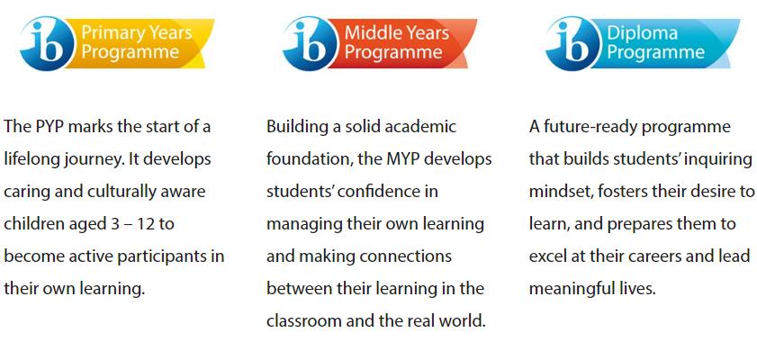 爆肝头秃还是学不好IB？IB娃如何突破学习“困局”