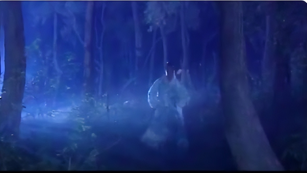 最近版的少年包青天,少年包青天第一部最好看的案子