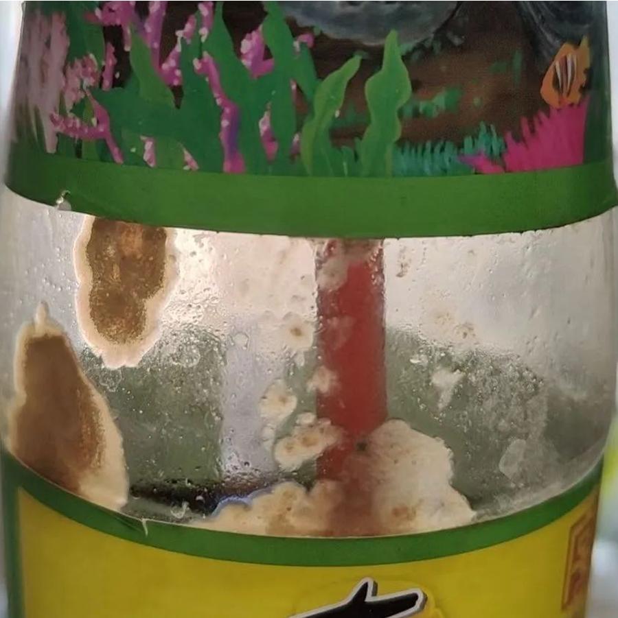 高温可以杀死蚝油里的霉菌吗,蚝油能不能用在炒菜