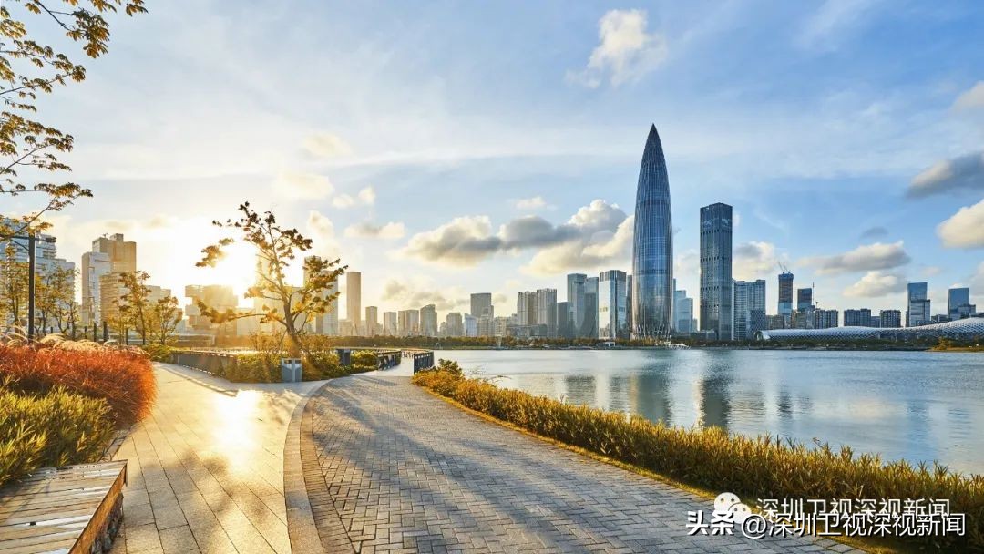 西丽湖论坛日程,高交会论坛