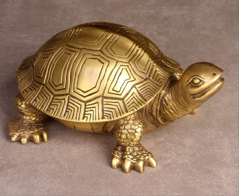 巴西龟是侵略物种吗,巴西龟泛滥成灾的危害