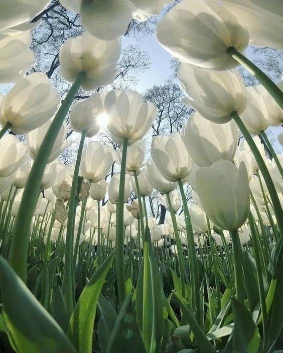 男女双方都出过轨还能在一起吗,当男女双方都出过轨该如何处理