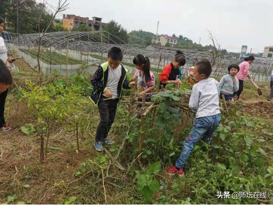多彩活动促成长,多彩活动校园