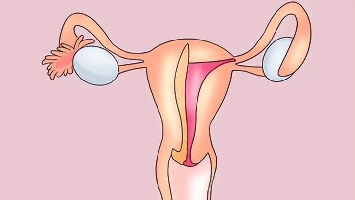 一个女性没有子宫会怎样,一个女性没有子宫会怎么样