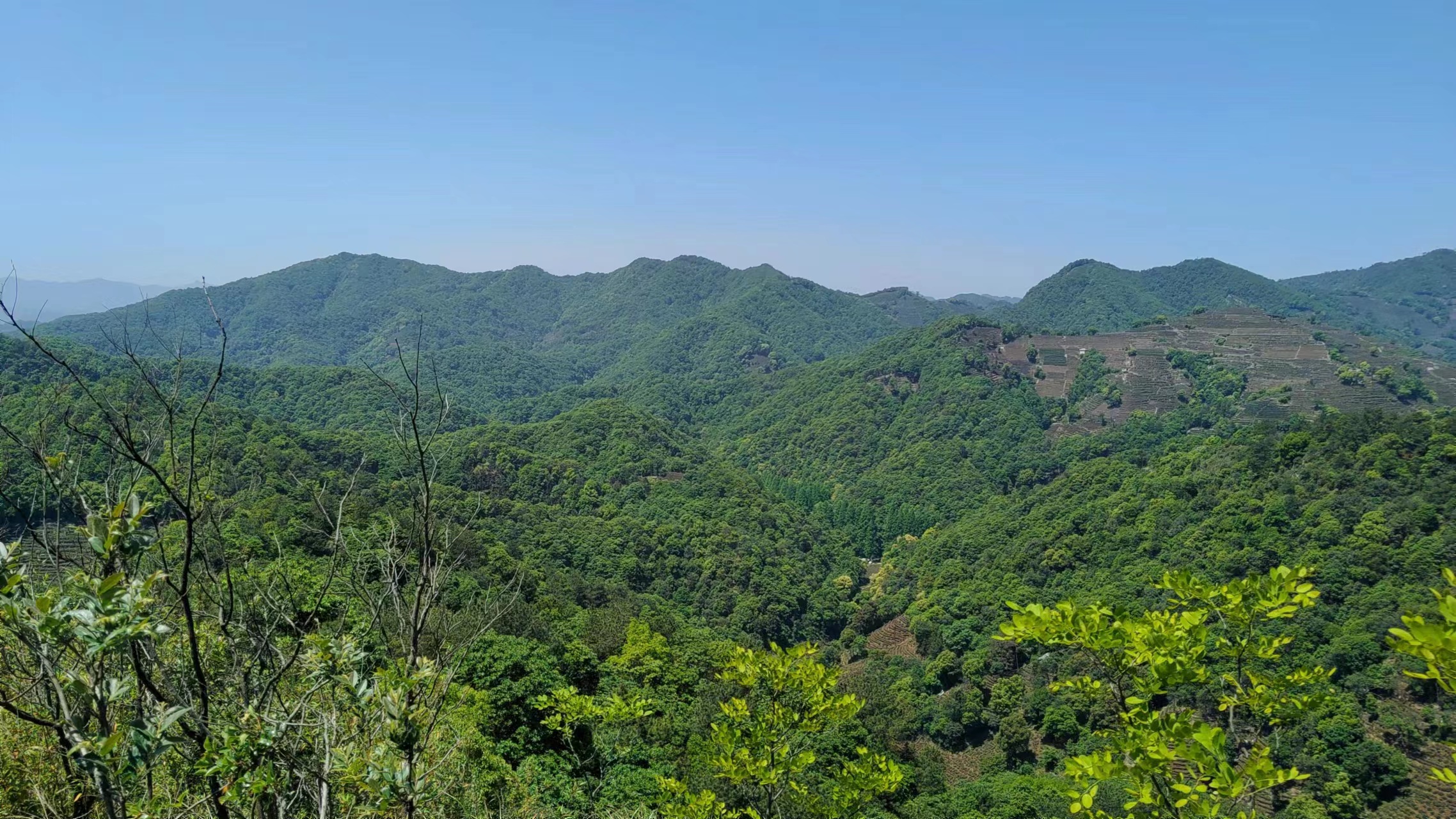 vivoiqooz6有没有广角镜头,vivoiqooz6拍照功能怎样