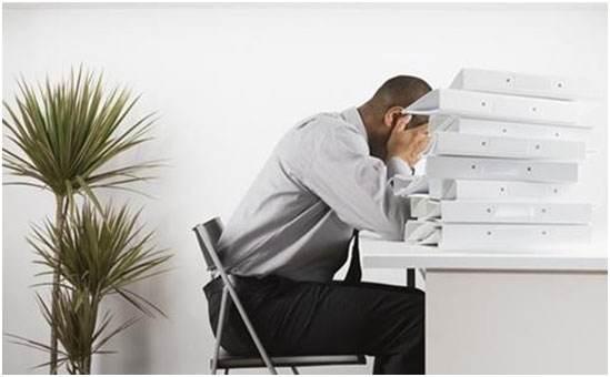 几种食物能让男人提高雄激素,什么食物能补充男人的雄激素