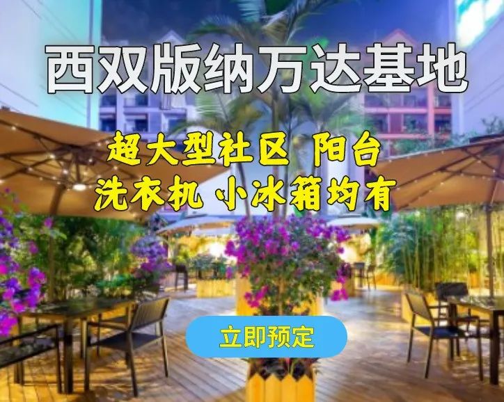 西双版纳风景优美的康养公寓,西双版纳民宿万达片区