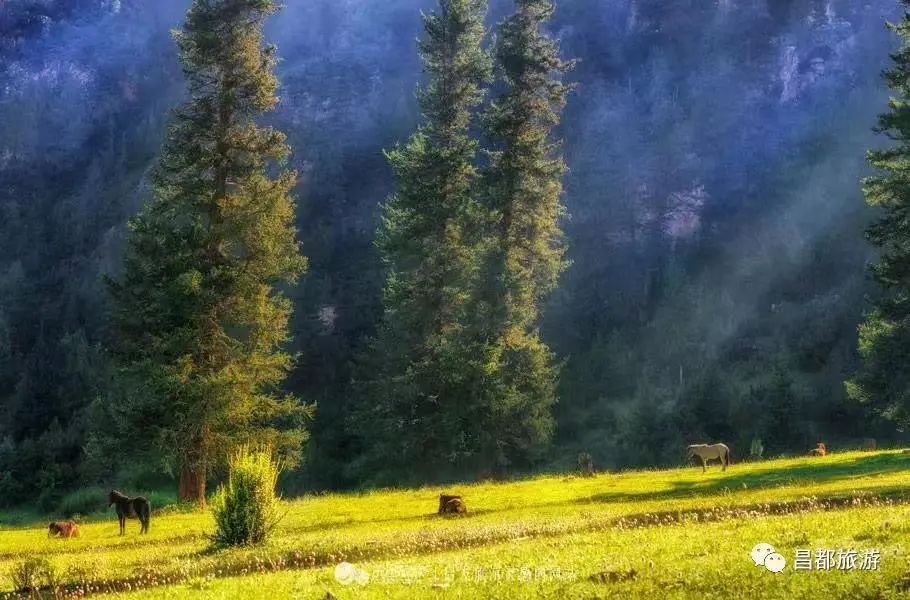 最美西藏十大景点,藏北旅游景点推荐