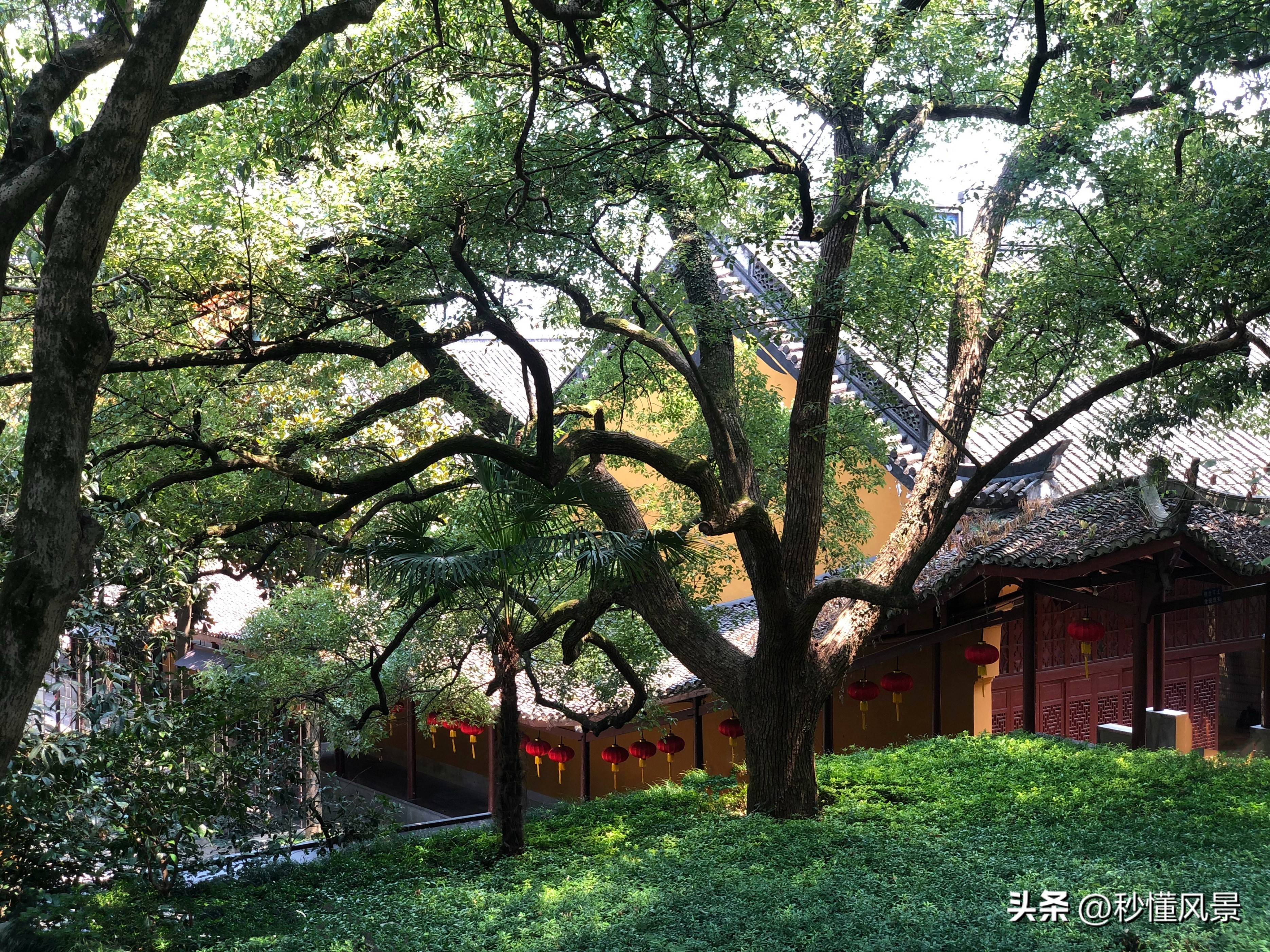 杭州西湖最灵寺,杭州西湖神秘地宫