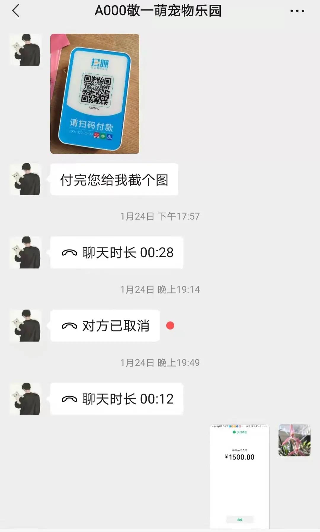 揭秘黑心宠物店卖的猫狗都不长命,曝光卖狗无良商家