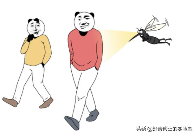 为什么蚊子只盯着你咬？有这几个特点的人，夏天要当心了！