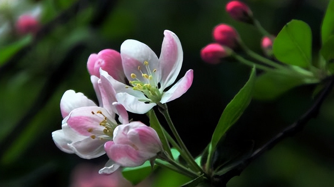 什么样的教育方式才能让孩子成功,成功父母教育孩子的方式