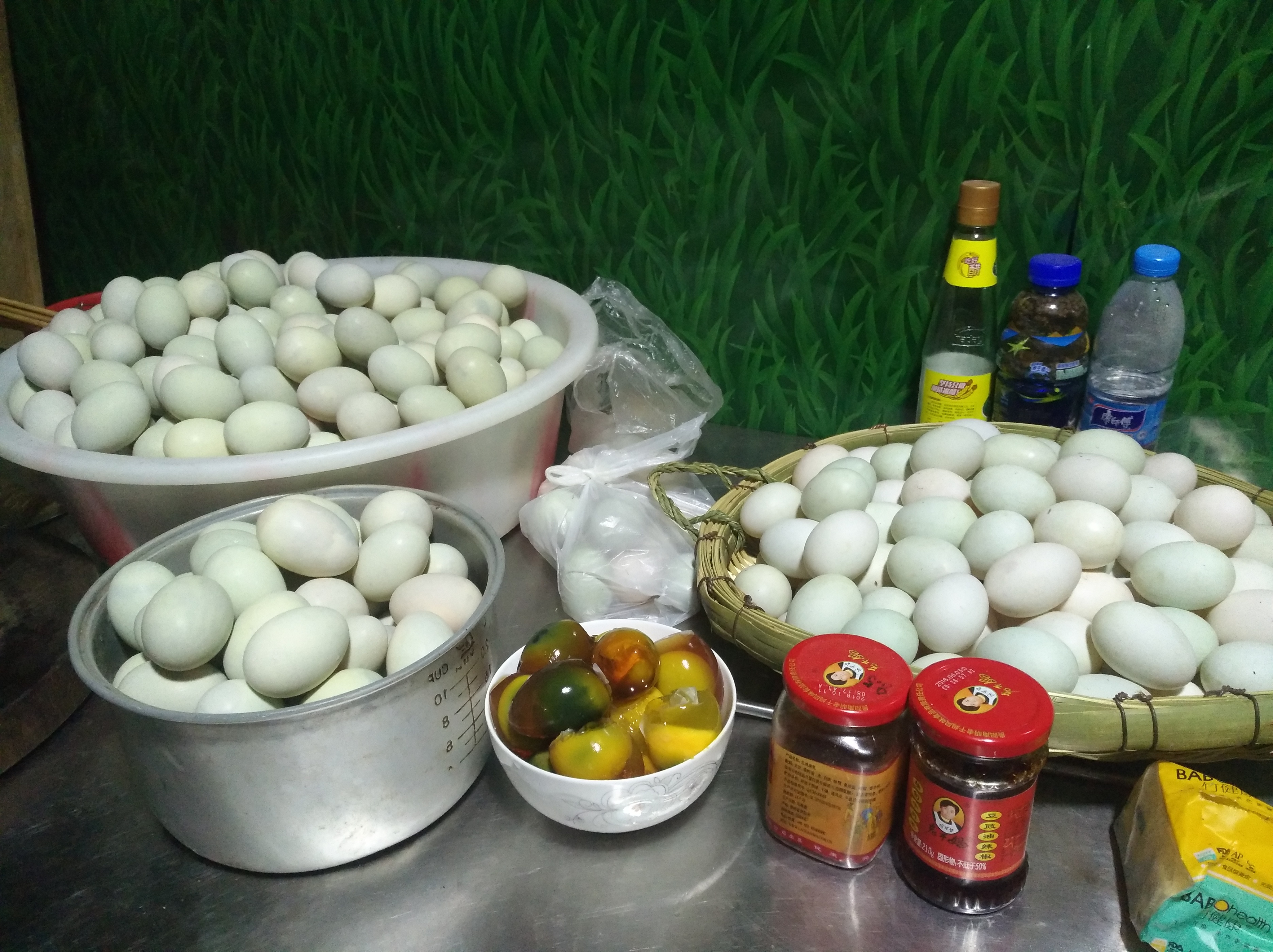 蛋鸭养殖需要鱼塘吗,鱼塘养鸭的正确方法