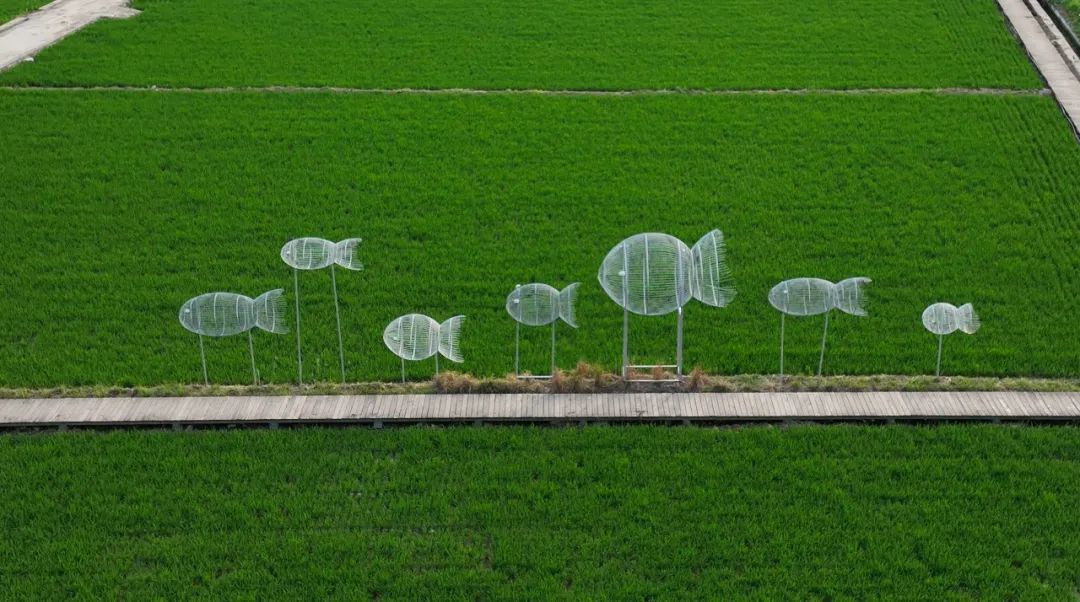 整村运营,整村运营顶层策划