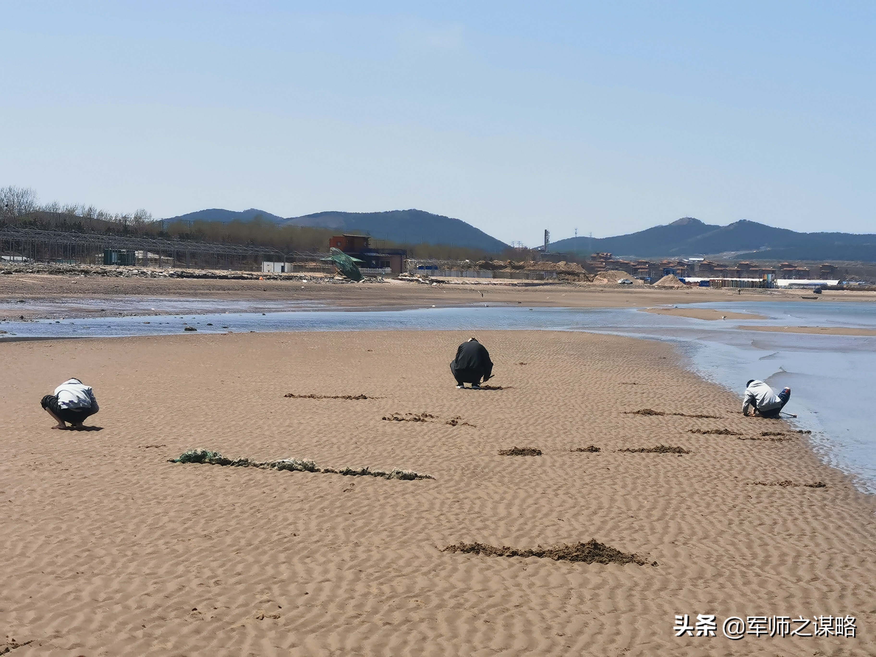 大连赶海去黄海还是渤海,大连海岸线旅游攻略