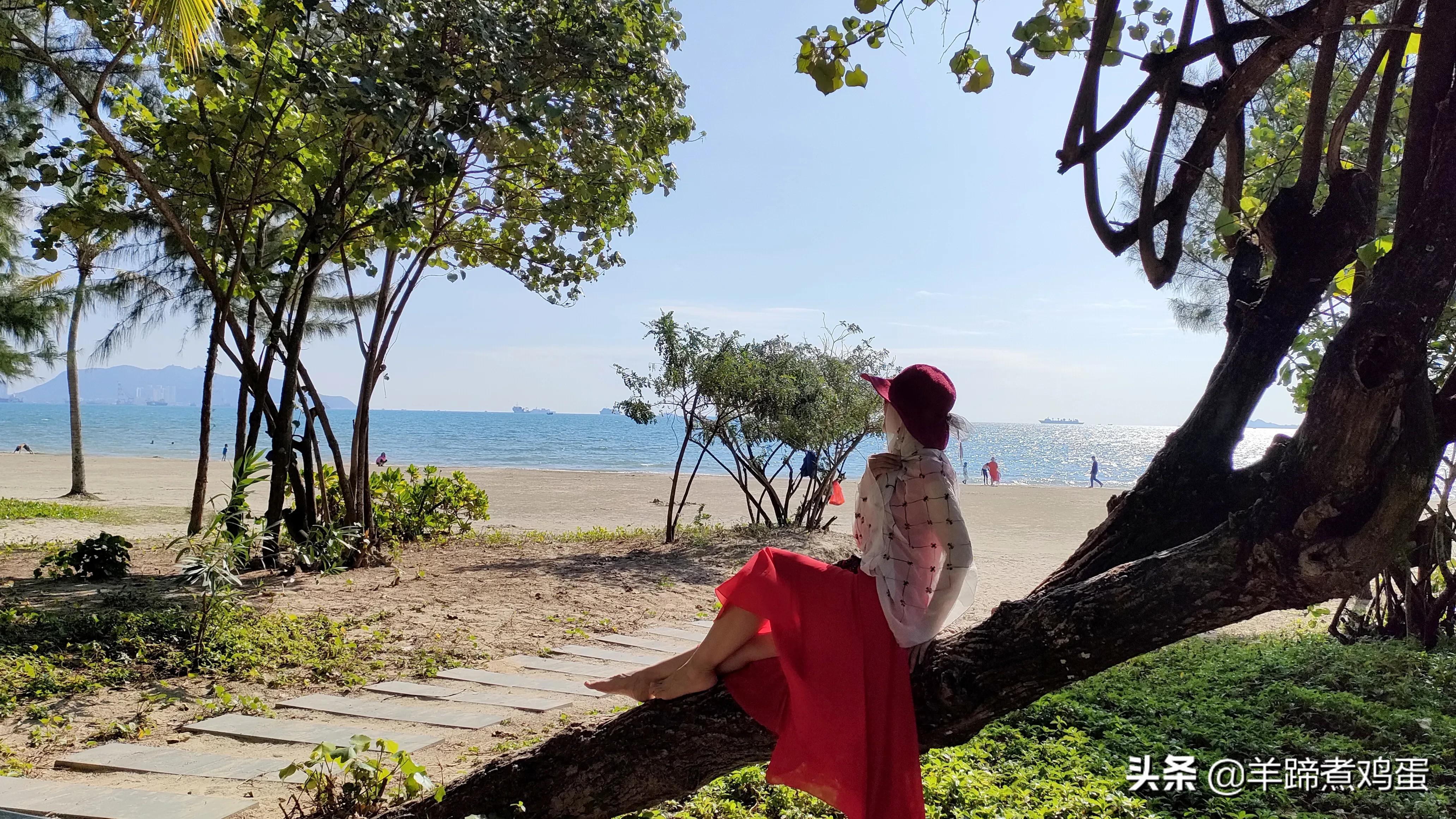 三亚椰梦长廊日落绝美,三亚湾椰梦长廊看夕阳最佳观赏点