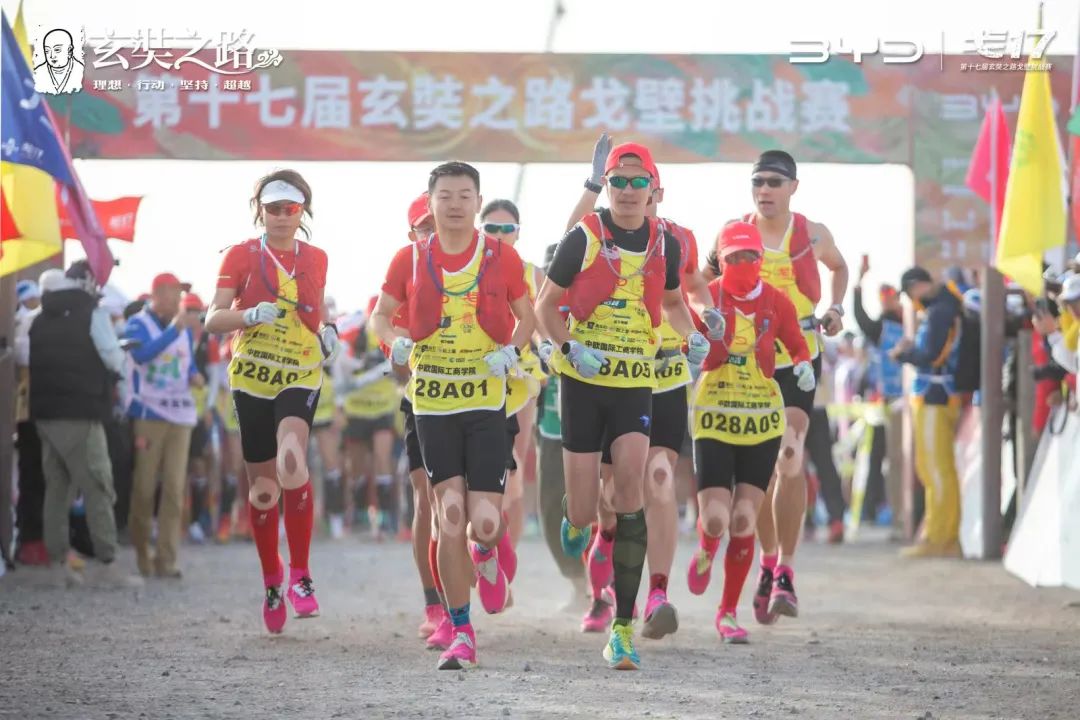 戈17是什么赛事,戈17挑战赛排名