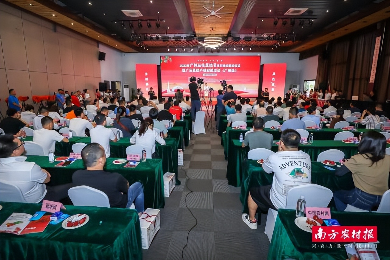 涔℃潙鎸叴浠庡寲鑽旀灊,宀崡鑽旀灊涔℃潙鎸叴