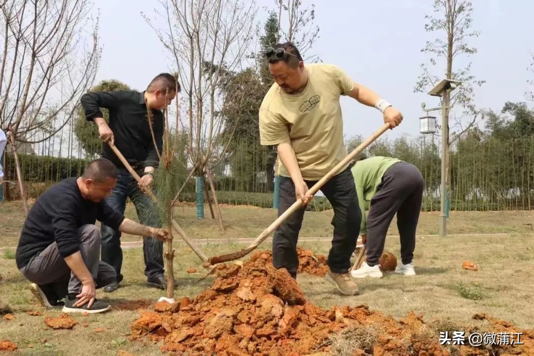 创建文明乡村,创建美丽乡村的标准是什么