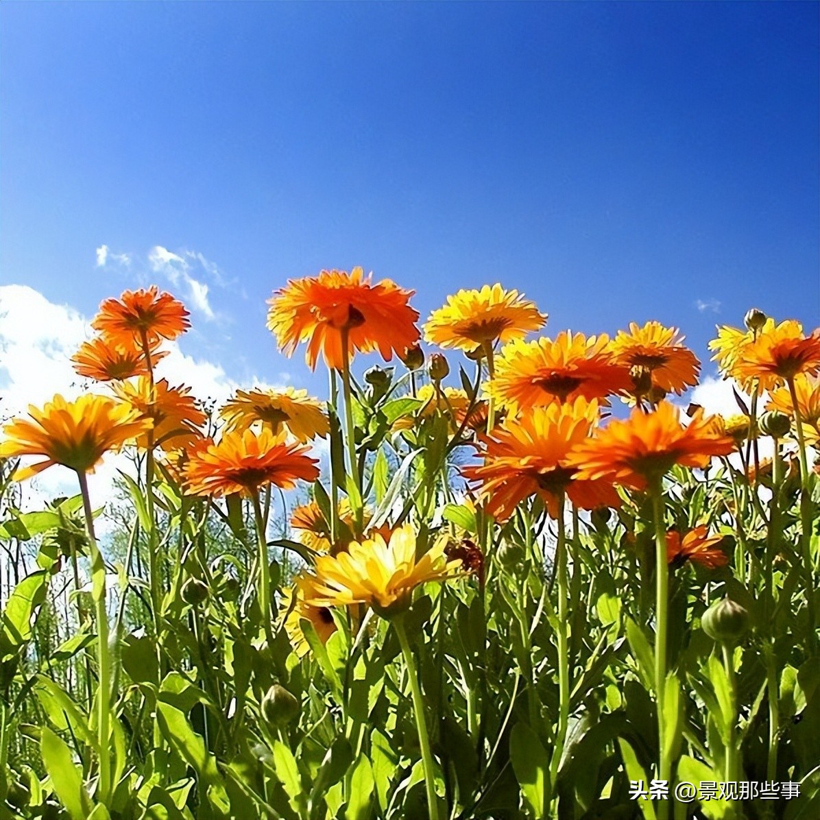 毫不犹豫的买了顶楼带露台的房子,顶楼带露台和二楼带露台