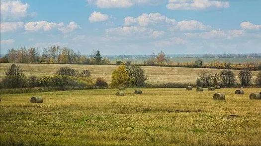 书荒好看的高分小说,骨灰级老书虫推荐高评分小说