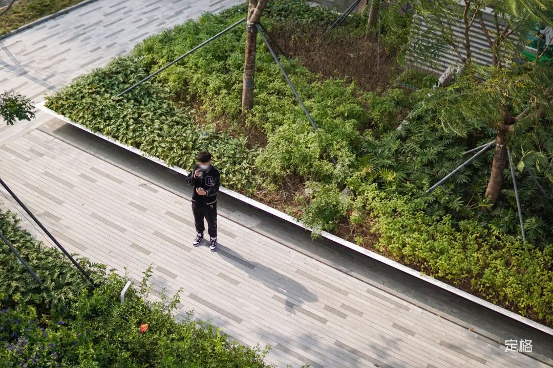 宝安滨海廊桥,深圳滨海廊桥效果图