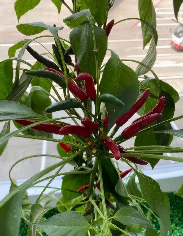 你只有在成都谈恋爱，才不会分手