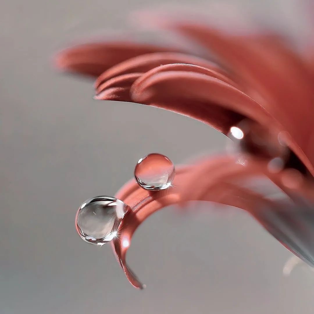 对知己的理解是什么,知己到底怎么理解