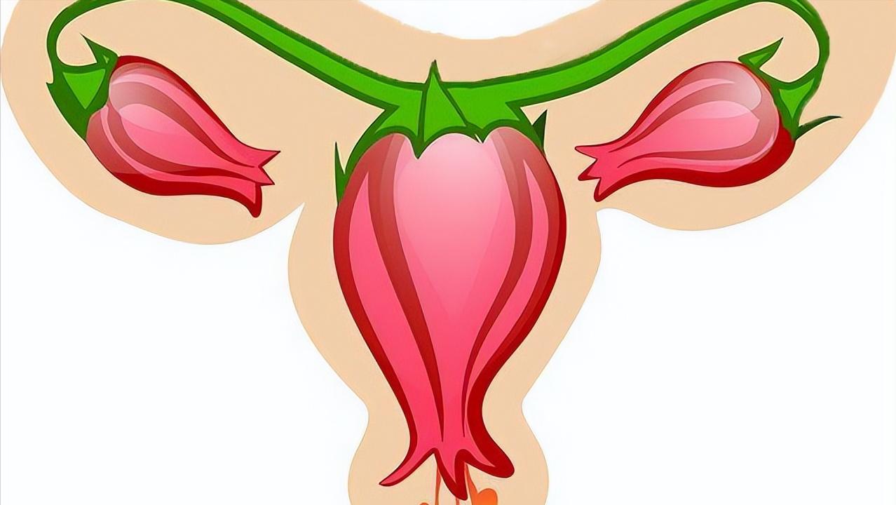 每个人都有处女膜？女性*夜初**一定会出血？别急，一次性告诉你答案