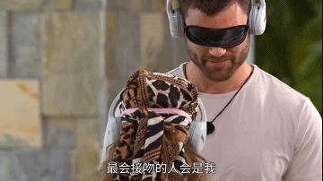 网飞新综艺,网飞顶级综艺