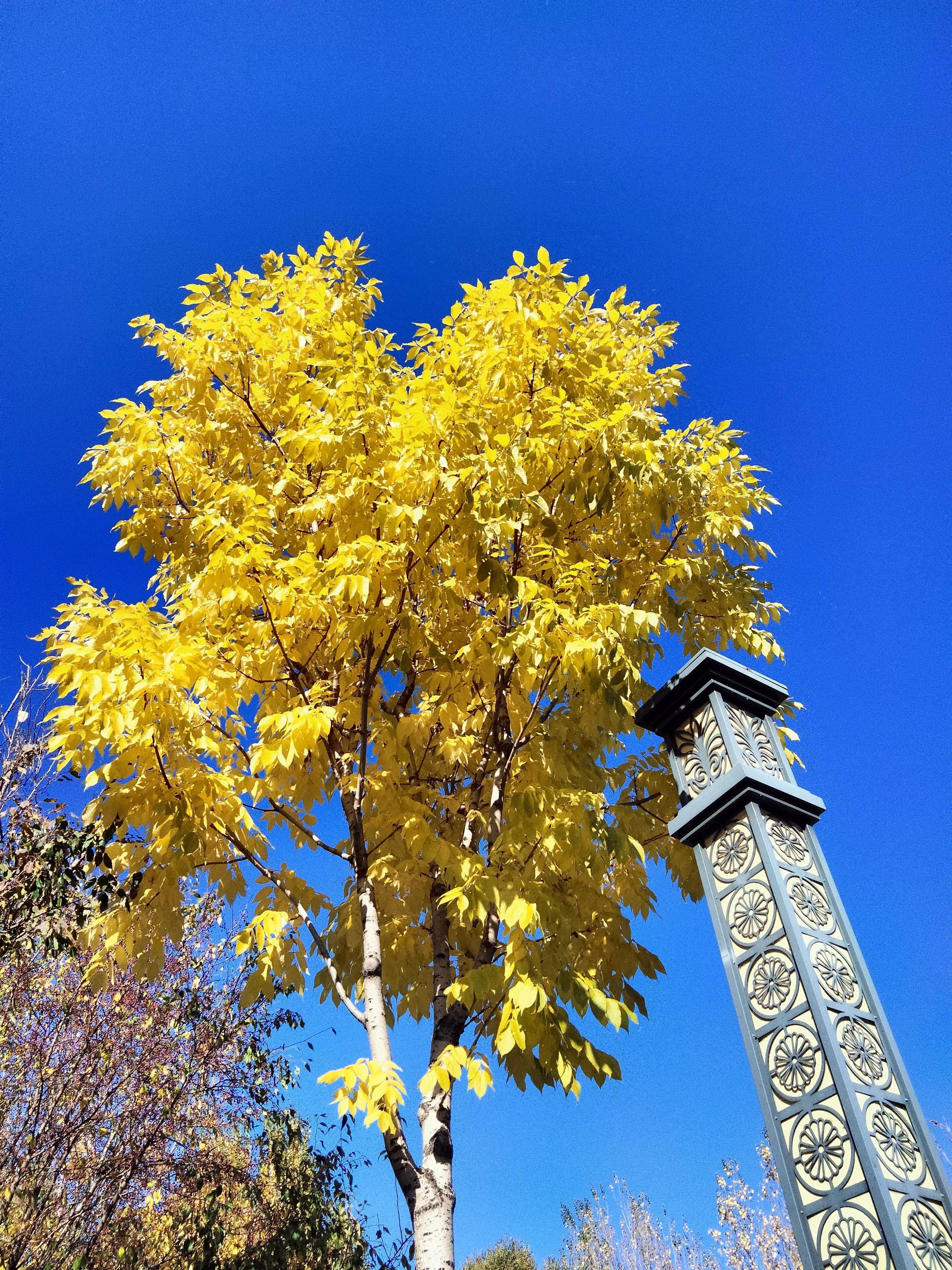 亲友群名片背景,家庭群名片