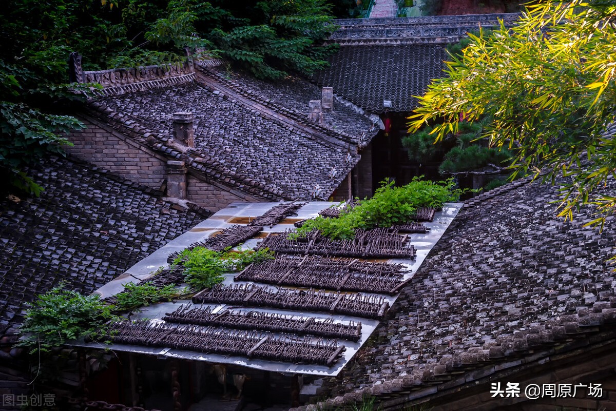 唐都浪子《饥荒年代关中往事》之：烧毛豆