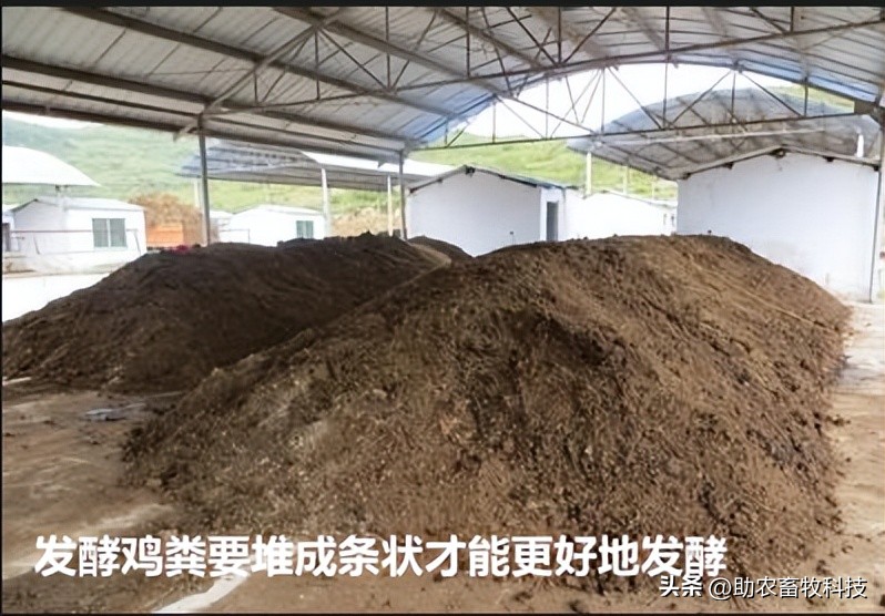 粪类肥料,复合肥鸡粪肥