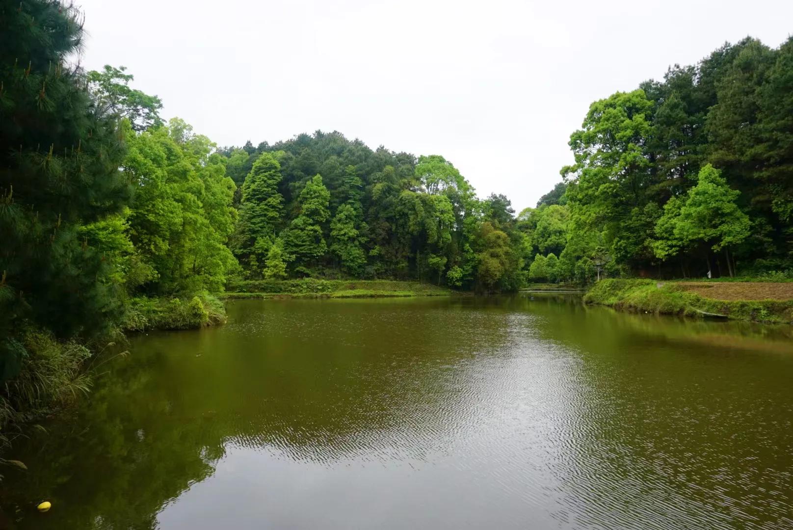 斜门正道，却尽出正人君子——走进巴南，探秘百年廖氏传奇故事