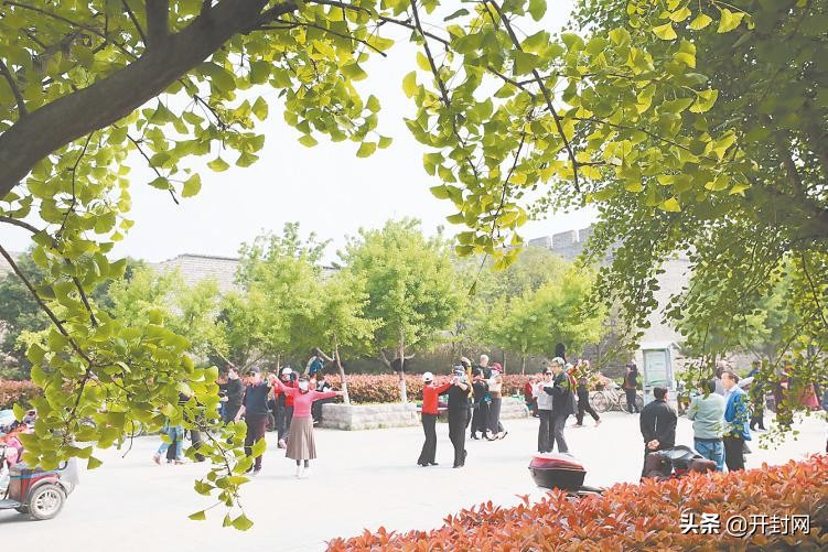 开封市财政局最新政策,开封市财政局历任局长