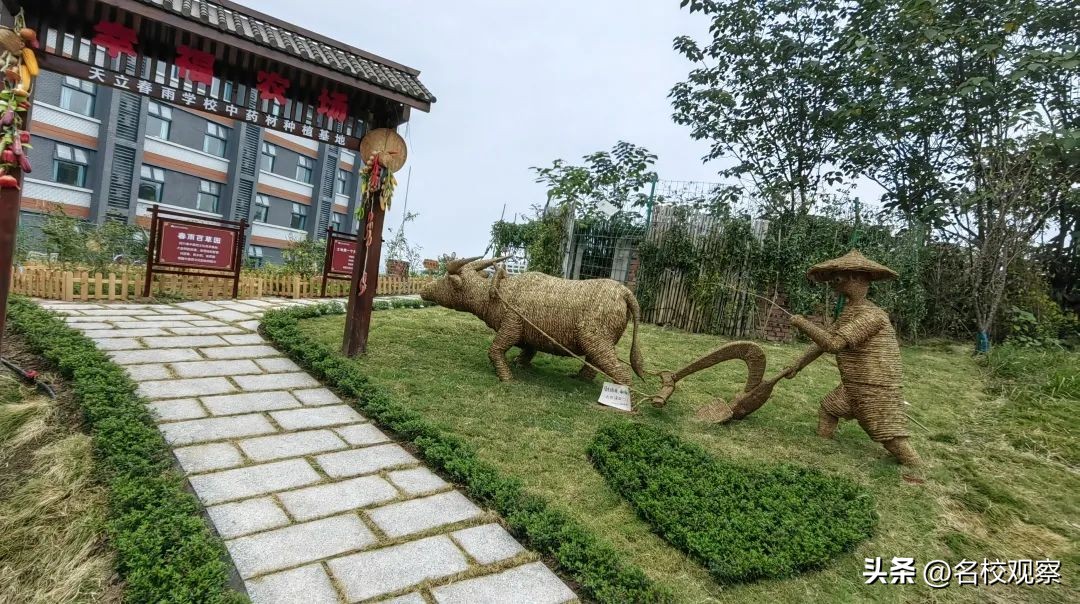 点亮时代文化之光,点亮中华优秀传统文化的智慧之光