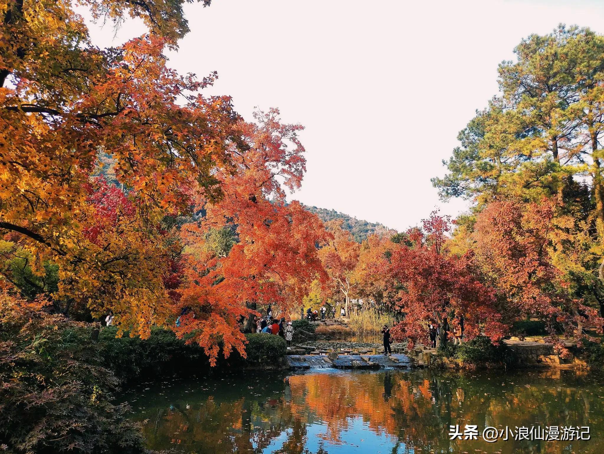 苏州天平山赏枫品茶的句子,苏州赏枫除了天平山还有哪