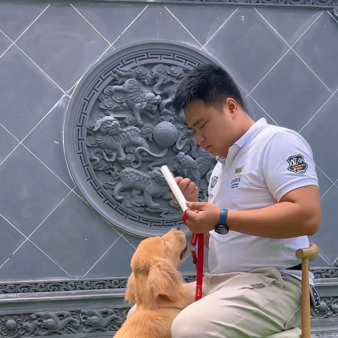 狗狗去上学要准备哪些东西,狗狗上学能学会什么