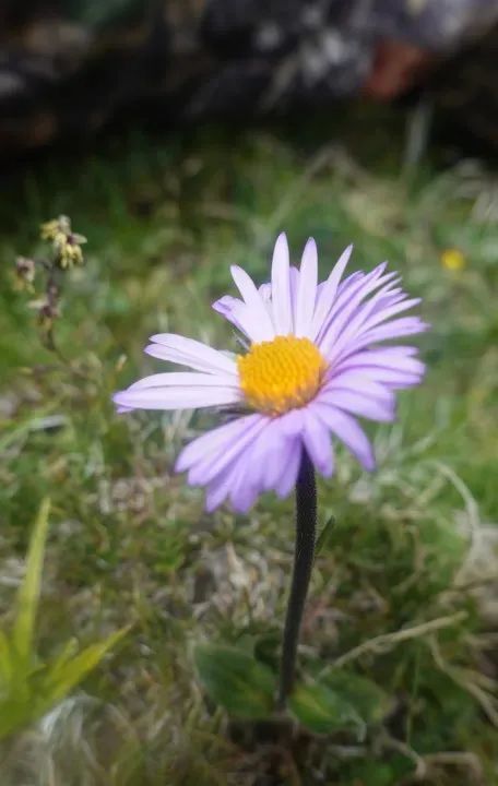 夫妻带5岁儿子环游世界,小夫妻带5岁孩子旅游边走边看