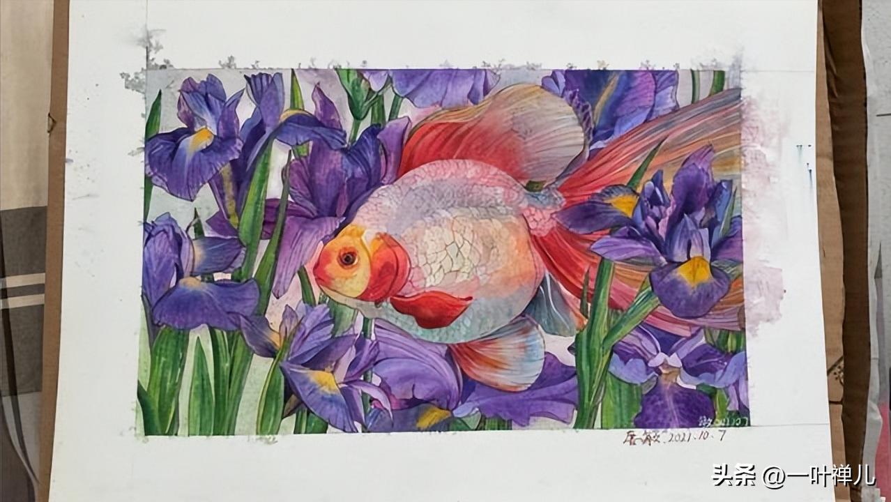 云南浴火女孩高考分数,浴火女孩高考成绩