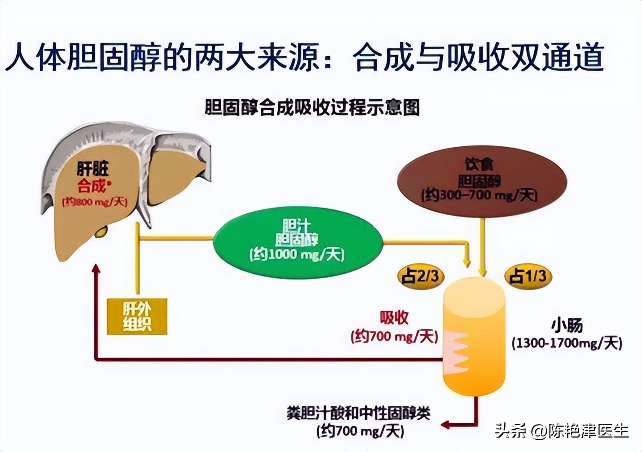 血脂高多少需要吃降脂药,血脂多高需要服用降脂药