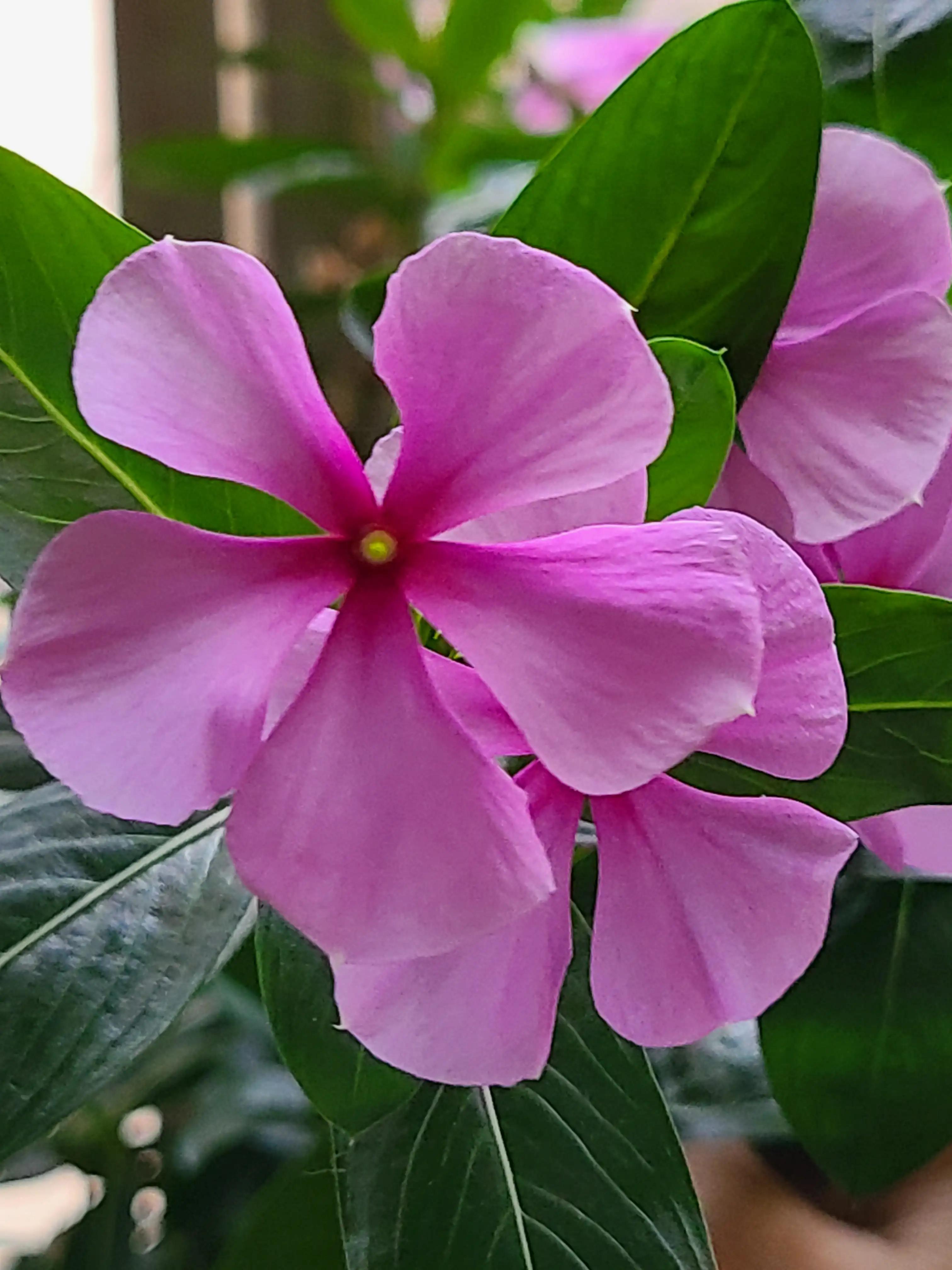 宝妈在家兼职手机工作,宝妈兼职在家可做的线上兼职