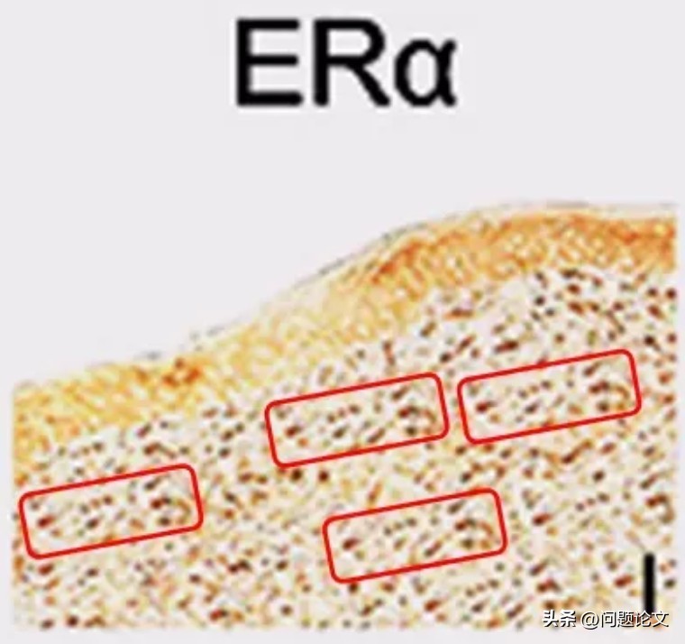 医生学术论文作假严重吗,国外承认中医论文造假事件