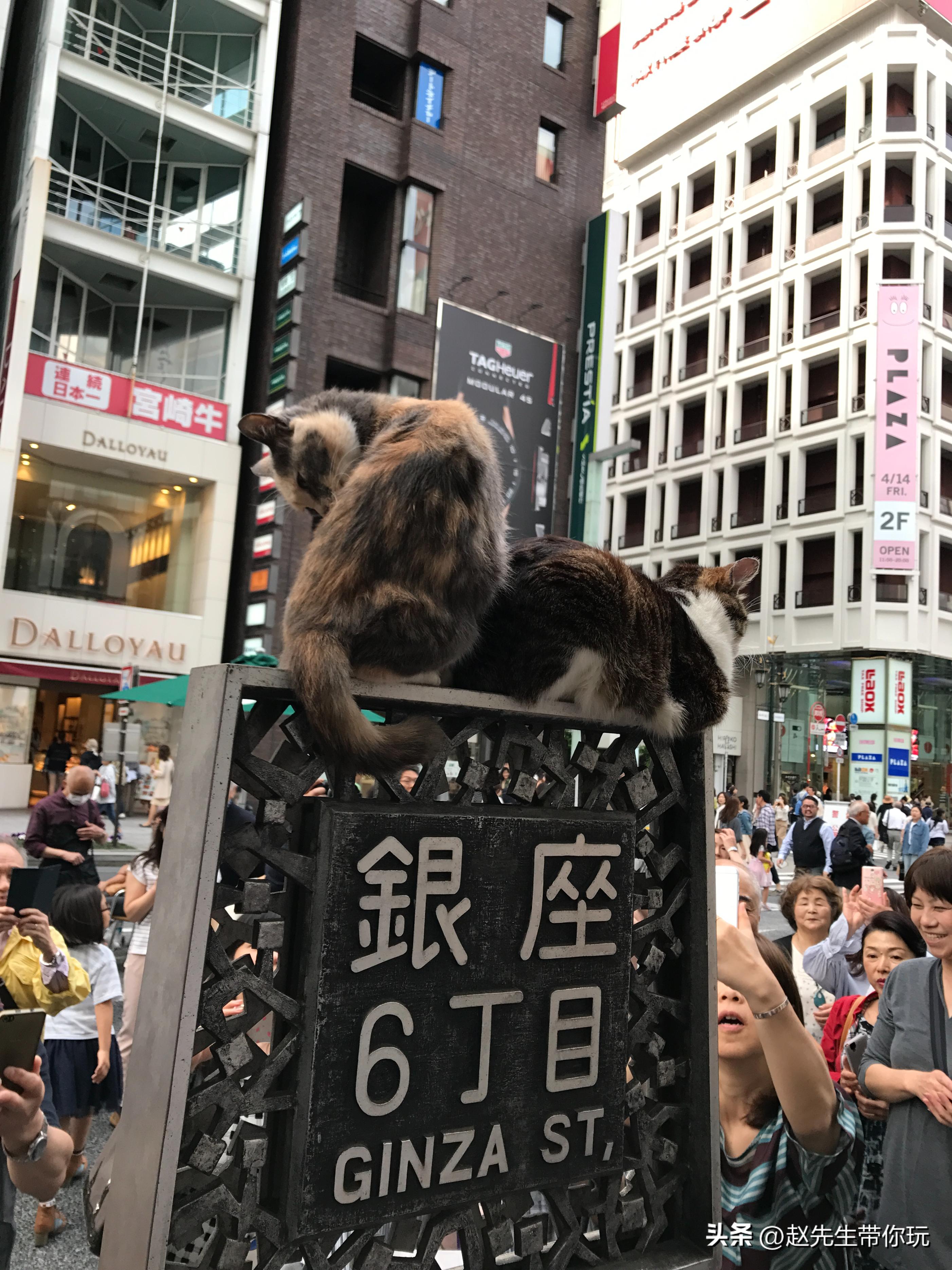 二十年游历分享之334：亚洲113：日本14：东京13：银座